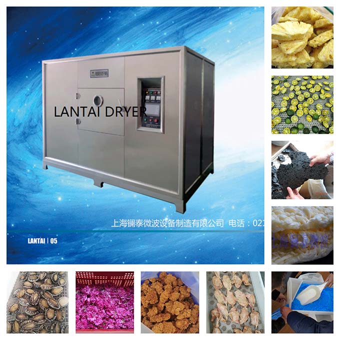 Why is there a huge potential market for microwave drying machine?