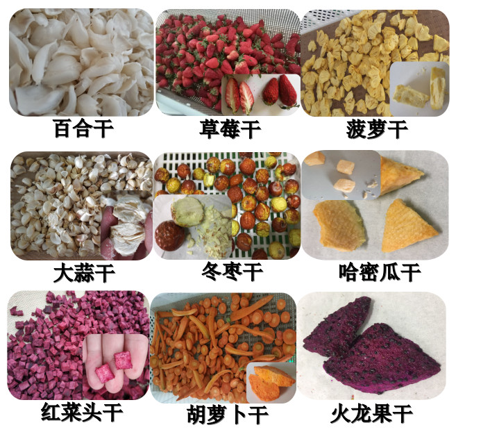 What are the characteristics of microwave drying equipment for fruits and vegetables?