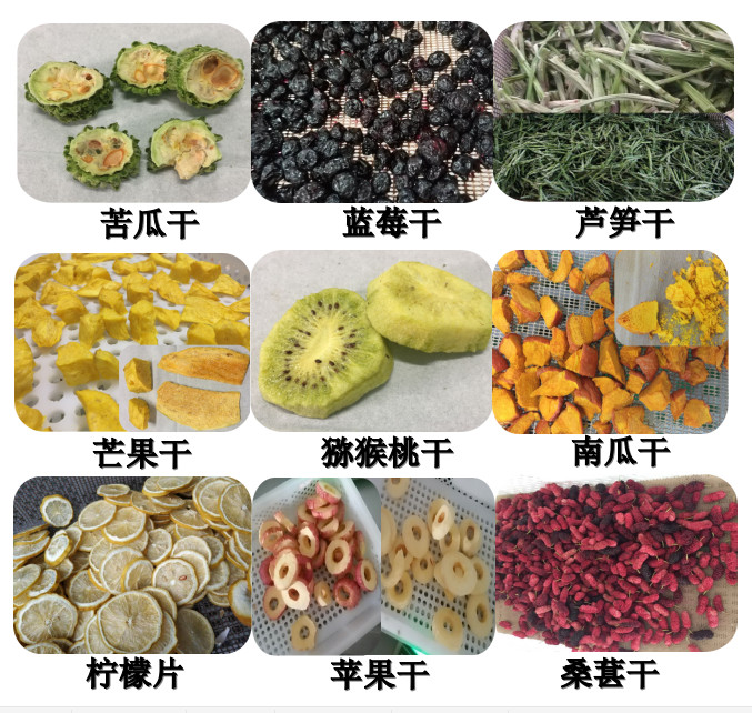 What problems have the new vacuum microwave drying device for vegetables solved?